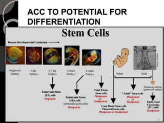 ACC TO POTENTIAL FOR
DIFFERENTIATION
22
 