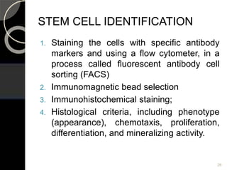 STEM CELL IDENTIFICATION
1. Staining the cells with specific antibody
markers and using a flow cytometer, in a
process called fluorescent antibody cell
sorting (FACS)
2. Immunomagnetic bead selection
3. Immunohistochemical staining;
4. Histological criteria, including phenotype
(appearance), chemotaxis, proliferation,
differentiation, and mineralizing activity.
26
 