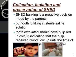 Collection, Isolation and
preservation of SHED
 SHED banking is a proactive decision
made by the parents
 put tooth fulfilling in sterile saline
solution
 tooth exfoliated should have pulp red
in colour, indicating that the pulp
received blood flow up until the time of
removal, which is indicative of cell
viability
37
 
