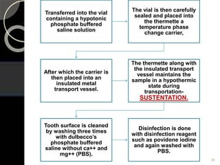 Transferred into the vial
containing a hypotonic
phosphate buffered
saline solution
The vial is then carefully
sealed and placed into
the thermette a
temperature phase
change carrier,
After which the carrier is
then placed into an
insulated metal
transport vessel.
The thermette along with
the insulated transport
vessel maintains the
sample in a hypothermic
state during
transportation-
SUSTENTATION.
Tooth surface is cleaned
by washing three times
with dulbecco’s
phosphate buffered
saline without ca++ and
mg++ (PBS).
Disinfection is done
with disinfection reagent
such as povidone iodine
and again washed with
PBS.
38
 