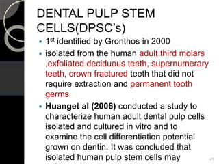DENTAL PULP STEM
CELLS(DPSC’s)
 1st identified by Gronthos in 2000
 isolated from the human adult third molars
,exfoliated deciduous teeth, supernumerary
teeth, crown fractured teeth that did not
require extraction and permanent tooth
germs
 Huanget al (2006) conducted a study to
characterize human adult dental pulp cells
isolated and cultured in vitro and to
examine the cell differentiation potential
grown on dentin. It was concluded that
isolated human pulp stem cells may 41
 