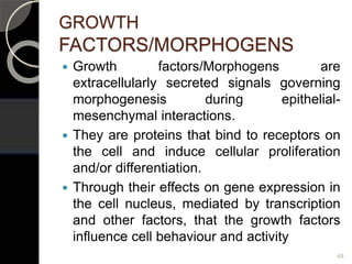 GROWTH
FACTORS/MORPHOGENS
 Growth factors/Morphogens are
extracellularly secreted signals governing
morphogenesis during epithelial-
mesenchymal interactions.
 They are proteins that bind to receptors on
the cell and induce cellular proliferation
and/or differentiation.
 Through their effects on gene expression in
the cell nucleus, mediated by transcription
and other factors, that the growth factors
influence cell behaviour and activity
48
 