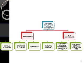 MATRICES
EMPLOYED IN
TISSUE
ENGINEERING
ABSORBABLE
NATURAL
POLYMERS
SYNTHETIC
POLYMERS
COMPOSITES
NATURAL
MINERAL
NON
RESORBABLE
SYNTHETIC
POLYMER
POLYTETRAFL
UOROETHYLE
NE
SYNTHETIC
CERAMIC
HYDROXYAPA
TITE
55
 