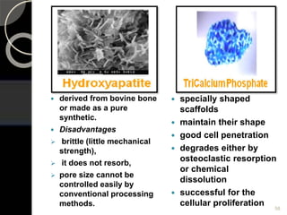  derived from bovine bone
or made as a pure
synthetic.
 Disadvantages
 brittle (little mechanical
strength),
 it does not resorb,
 pore size cannot be
controlled easily by
conventional processing
methods.
 specially shaped
scaffolds
 maintain their shape
 good cell penetration
 degrades either by
osteoclastic resorption
or chemical
dissolution
 successful for the
cellular proliferation 58
 