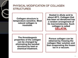 PHYSICAL MODIFICATION OF COLLAGEN
STRUCTURES
Collagen structure is
temperature sensitive. Most
natural collagen is
insoluble.
Heated in dilute acid to
about 40°C, Collagen that
has been so denatured has
a random arrangement of
its macromolecules. Such
collagen is called
GELATIN.
The thrombogenic
properties of the collagen
can be changed by
eliminating the banded
structure by heat or
chemical treatment.
Porous collagen can be
obtained by freezing the
collagen fiber solution and
then evaporating the frozen
ice in a vacuum.
61
 