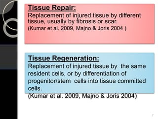 Tissue Repair:
Replacement of injured tissue by different
tissue, usually by fibrosis or scar.
(Kumar et al. 2009, Majno & Joris 2004 )
Tissue Regeneration:
Replacement of injured tissue by the same
resident cells, or by differentiation of
progenitor/stem cells into tissue committed
cells.
(Kumar et al. 2009, Majno & Joris 2004)
7
 