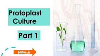 Protoplast
Culture
Part 1
Nitin .jr
 
