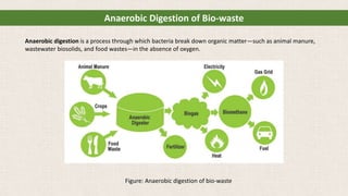 Anaerobic Digestion of Bio-waste
Anaerobic digestion is a process through which bacteria break down organic matter—such as animal manure,
wastewater biosolids, and food wastes—in the absence of oxygen.
Figure: Anaerobic digestion of bio-waste
 