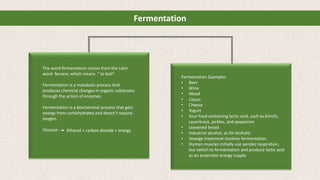 Fermentation
The word fermentation comes from the Latin
word fervere, which means “ to boil”.
Fermentation is a metabolic process that
produces chemical changes in organic substrates
through the action of enzymes.
Fermentation is a biochemical process that gets
energy from carbohydrates and doesn’t require
oxygen.
Glucose
Fermentation Examples
• Beer
• Wine
• Mead
• Liquor
• Cheese
• Yogurt
• Sour food containing lactic acid, such as kimchi,
sauerkraut, pickles, and pepperoni
• Leavened bread
• Industrial alcohol, as for biofuels
• Sewage treatment involves fermentation.
• Human muscles initially use aerobic respiration,
but switch to fermentation and produce lactic acid
as an anaerobic energy supply.
Ethanol + carbon dioxide + energy
 