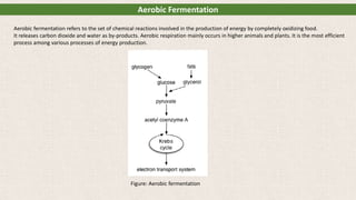 Aerobic Fermentation
Aerobic fermentation refers to the set of chemical reactions involved in the production of energy by completely oxidizing food.
It releases carbon dioxide and water as by-products. Aerobic respiration mainly occurs in higher animals and plants. It is the most efficient
process among various processes of energy production.
Figure: Aerobic fermentation
 