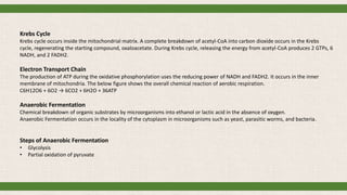 Krebs Cycle
Krebs cycle occurs inside the mitochondrial matrix. A complete breakdown of acetyl-CoA into carbon dioxide occurs in the Krebs
cycle, regenerating the starting compound, oxaloacetate. During Krebs cycle, releasing the energy from acetyl-CoA produces 2 GTPs, 6
NADH, and 2 FADH2.
Electron Transport Chain
The production of ATP during the oxidative phosphorylation uses the reducing power of NADH and FADH2. It occurs in the inner
membrane of mitochondria. The below figure shows the overall chemical reaction of aerobic respiration.
C6H12O6 + 6O2 → 6CO2 + 6H2O + 36ATP
Anaerobic Fermentation
Chemical breakdown of organic substrates by microorganisms into ethanol or lactic acid in the absence of oxygen.
Anaerobic Fermentation occurs in the locality of the cytoplasm in microorganisms such as yeast, parasitic worms, and bacteria.
Steps of Anaerobic Fermentation
• Glycolysis
• Partial oxidation of pyruvate
 