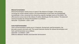 Ethanol Fermentation
Ethanol fermentation mainly occurs in yeast in the absence of oxygen. In this process,
removing the carbon dioxide results in the decarboxylation of pyruvate into acetaldehyde.
Acetaldehyde is then converted into ethanol by using the hydrogen atoms of the NADH. The
effervescence occurs due to the release of carbon dioxide gas into the medium. The balanced
chemical equation for ethanol fermentation is as follows:
C6H12O6 → 2C2H5OH + 2CO2 + 2ATP
Lactic Acid Fermentation
Lactic acid fermentation mainly occurs in bacteria. During lactic acid fermentation, the
pyruvate converts into lactic acid. The overall chemical reaction for ethanol fermentation and
lactic acid fermentation are as follows:
C6H12O6 → 2C3H6O3 + 2ATP
Difference Between Aerobic and Anaerobic Fermentation
 