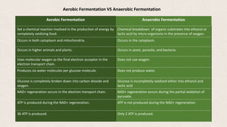 Aerobic Fermentation Anaerobic Fermentation
Set a chemical reaction involved in the production of energy by
completely oxidizing food.
Chemical breakdown of organic substrates into ethanol or
lactic acid by micro-organisms in the presence of oxygen.
Occurs in both cytoplasm and mitochondria. Occurs in the cytoplasm.
Occurs in higher animals and plants. Occurs in yeast, parasite, and bacteria.
Uses molecular oxygen as the final electron acceptor in the
electron transport chain.
Does not use oxygen.
Produces six water molecules per glucose molecule. Does not produce water.
Glucose is completely broken down into carbon dioxide and
oxygen.
Glucose is incompletely oxidized either into ethanol and
lactic acid
NAD+ regeneration occurs in the electron transport chain. NAD+ regeneration occurs during the partial oxidation of
pyruvate.
ATP is produced during the NAD+ regeneration. ATP is not produced during the NAD+ regeneration.
36 ATP is produced. Only 2 ATP is produced.
Aerobic Fermentation VS Anaerobic Fermentation
 