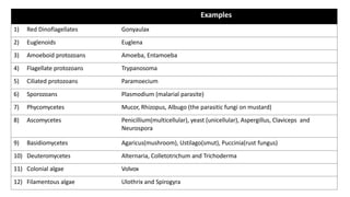Examples
1) Red Dinoflagellates Gonyaulax
2) Euglenoids Euglena
3) Amoeboid protozoans Amoeba, Entamoeba
4) Flagellate protozoans Trypanosoma
5) Ciliated protozoans Paramoecium
6) Sporozoans Plasmodium (malarial parasite)
7) Phycomycetes Mucor, Rhizopus, Albugo (the parasitic fungi on mustard)
8) Ascomycetes Penicillium(multicellular), yeast (unicellular), Aspergillus, Claviceps and
Neurospora
9) Basidiomycetes Agaricus(mushroom), Ustilago(smut), Puccinia(rust fungus)
10) Deuteromycetes Alternaria, Colletotrichum and Trichoderma
11) Colonial algae Volvox
12) Filamentous algae Ulothrix and Spirogyra
 