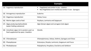 Examples
13) Isogamous reproduction § Flagellated and similar in size : Ulothrix
§ Non-flagellated (non-motile) but similar in size : Spirogyra
14) Anisogamous reproduction Eudorina
15) Oogamous reproduction Volvox, Fucus
16) Marine algae used as food Porphyra, Laminaria and Sargassum
17) Algae producing hydrocolloids
(water holding substance)
Algin (brown algae) and carrageen (red algae)
18) Unicellular algae rich in protein used as
food supplement by space travellers
Clorella
19) Chlorophyceae Chlamydomonas, Volvox, Ulothrix, Spirogyra and Chara
20) Phaeophyceae Ectocarpus, Dicyota, Laminaria, Sargassum and Fucus
21) Rhodophyceae Polysiphonia, Poryphyra, Gracilaria and Gelidium
 