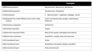 Examples
109)Nitrifying bacteria Nitrosomonas, Nitrococcus, Nitrobacter
110)Denitrifying bacteria Pseudomonas, Thiobacillus
111)Vernalization § Biennial plants – Sugarbeet, cabbages, carrots
112)Respiration by simple diffusion (over entire body
surface)
Lower invertebrates like sponges, coelenterates,
flatworms
113)Cutaneous respiration Earthworms
114)Tracheal respiration Insects
115)Branchial respiration (Gills) Most of the aquatic arthropods and molluscs
116)Pulmonary respiration Amphibians, reptiles, birds and mammals
117)2-chambered heart Fishes
118)3-chambered heart Amphibians and reptiles (except crocodiles)
119)4-chambered heart Birds and mammals
 