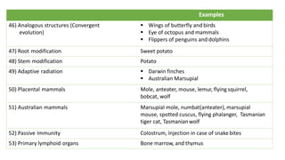 Examples
46) Analogous structures (Convergent
evolution)
§ Wings of butterfly and birds
§ Eye of octopus and mammals
§ Flippers of penguins and dolphins
47) Root modification Sweet potato
48) Stem modification Potato
49) Adaptive radiation § Darwin finches
§ Australian Marsupial
50) Placental mammals Mole, anteater, mouse, lemur, flying squirrel,
bobcat, wolf
51) Australian mammals Marsupial mole, numbat(anteater), marsupial
mouse, spotted cuscus, flying phalanger, Tasmanian
tiger cat, Tasmanianwolf
52) Passive Immunity Colostrum, Injection in case of snake bites
53) Primary lymphoid organs Bone marrow, and thymus
 