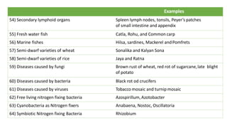 Examples
54) Secondary lymphoid organs Spleen lymph nodes, tonsils, Peyer’s patches
of small intestine and appendix
55) Fresh water fish Catla, Rohu, and Common carp
56) Marine fishes Hilsa, sardines, Mackerel and Pomfrets
57) Semi-dwarf varieties of wheat Sonalika and Kalyan Sona
58) Semi-dwarf varieties of rice Jaya and Ratna
59) Diseases caused by fungi Brown rust of wheat, red rot of sugarcane,late blight
of potato
60) Diseases caused by bacteria Black rot od crucifers
61) Diseases caused by viruses Tobacco mosaic and turnip mosaic
62) Free living nitrogen fixing bacteria Azospirillum,Azotobacter
63) Cyanobacteria as Nitrogen fixers Anabaena, Nostoc, Oscillatoria
64) Symbiotic Nitrogen fixing Bacteria Rhizobium
 