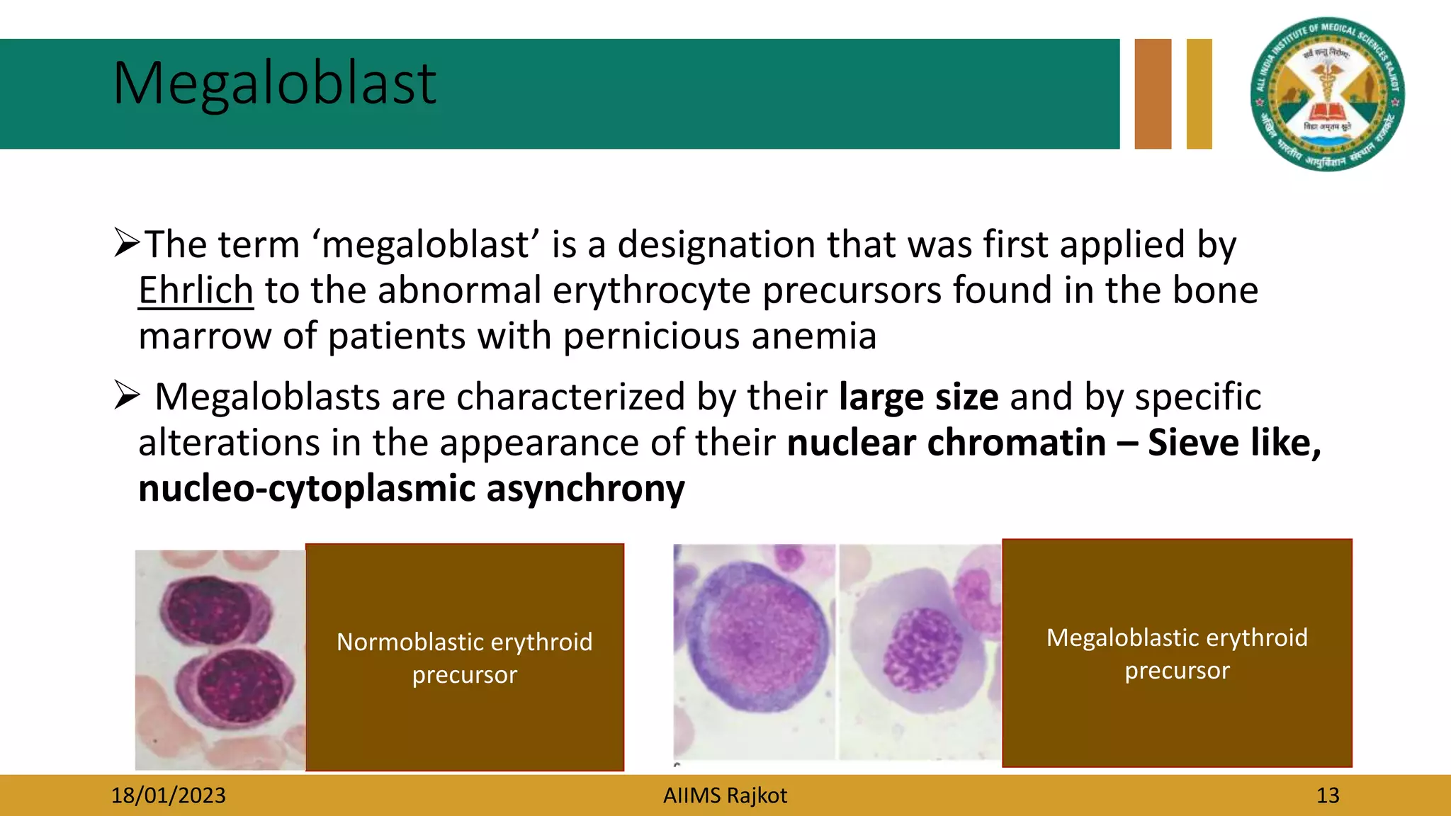 Macrocytic Anemia.pptx