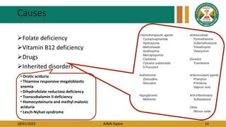 18/01/2023 AIIMS Rajkot 14
Causes
Folate deficiency
Vitamin B12 deficiency
Drugs
Inherited disorders
• Orotic aciduria
• Thiamine responsive megaloblastic
anemia
• Dihydrofolate reductase deficiency
• Transcobalamin II deficiency
• Homocysteinuria and methyl malonic
aciduria
• Lesch-Nyhan syndrome
 