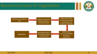 18/01/2023 AIIMS Rajkot 15
Biochemical basis of megaloblast
 