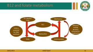 18/01/2023 AIIMS Rajkot 16
B12 and folate metabolism
 