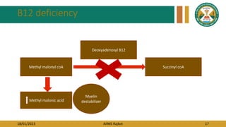 18/01/2023 AIIMS Rajkot 17
B12 deficiency
Methyl malonyl coA Succinyl coA
Methyl malonic acid
Myelin
destabilizer
Deoxyadenosyl B12
 