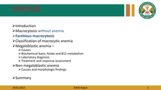 18/01/2023 AIIMS Rajkot 2
SYNOPSIS
Introduction
Macrocytosis without anemia
Factitious macrocytosis
Classification of macrocytic anemia
Megaloblastic anemia –
Causes
Biochemical basis, folate and B12 metabolism
Laboratory diagnosis
Treatment and response assessment
Non-megaloblastic anemia
Causes and morphologic findings.
Summary
 