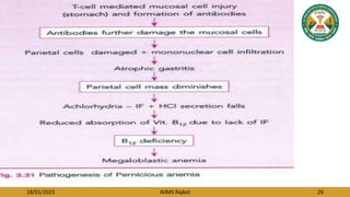 18/01/2023 AIIMS Rajkot 26
 