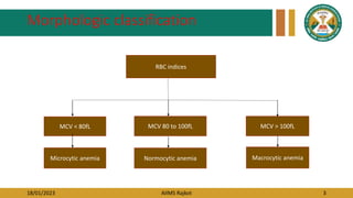 18/01/2023 AIIMS Rajkot 3
Morphologic classification
RBC indices
MCV < 80fL
Microcytic anemia
MCV 80 to 100fL
Normocytic anemia
MCV > 100fL
Macrocytic anemia
 
