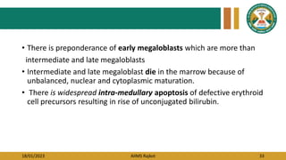 18/01/2023 AIIMS Rajkot 33
• There is preponderance of early megaloblasts which are more than
intermediate and late megaloblasts
• Intermediate and late megaloblast die in the marrow because of
unbalanced, nuclear and cytoplasmic maturation.
• There is widespread intra-medullary apoptosis of defective erythroid
cell precursors resulting in rise of unconjugated bilirubin.
 