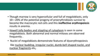18/01/2023 AIIMS Rajkot 34
• Though marrow is very hypercellular and full of megaloblasts, only
10—20% of the potential progeny of proerythroblasts survive to
become the macrocytic red cells and this ineffective erythropoiesis
results in anemia.
• Howell Jolly bodies and stippling of cytoplasm is seen in some
megaloblasts. Both abnormal and normal mitoses are observed
frequently .
• Nuclei of megaloblasts demonstrate features of dyserythropoiesis
like nuclear budding, irregular nuclei, dumb-bell shaped nuclei, and
nuclear fragments etc,
 