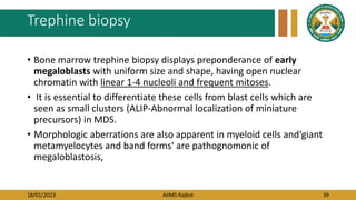 18/01/2023 AIIMS Rajkot 39
Trephine biopsy
• Bone marrow trephine biopsy displays preponderance of early
megaloblasts with uniform size and shape, having open nuclear
chromatin with linear 1-4 nucleoli and frequent mitoses.
• It is essential to differentiate these cells from blast cells which are
seen as small clusters (ALIP-Abnormal localization of miniature
precursors) in MDS.
• Morphologic aberrations are also apparent in myeloid cells and‘giant
metamyelocytes and band forms' are pathognomonic of
megaloblastosis,
 