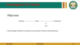 18/01/2023 AIIMS Rajkot 53
Investigation for folate
FIGLU test
Histidine -----------------→ FIGLU -------------------------→ Glutamate
↑
THF
• Oral challenge of Histidine Increased urinary excretion of FIGLU in folate deficiency.
 