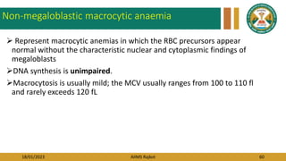 18/01/2023 AIIMS Rajkot 60
Non-megaloblastic macrocytic anaemia
 Represent macrocytic anemias in which the RBC precursors appear
normal without the characteristic nuclear and cytoplasmic findings of
megaloblasts
DNA synthesis is unimpaired.
Macrocytosis is usually mild; the MCV usually ranges from 100 to 110 fl
and rarely exceeds 120 fL
 