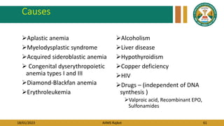 18/01/2023 AIIMS Rajkot 61
Causes
Aplastic anemia
Myelodysplastic syndrome
Acquired sideroblastic anemia
 Congenital dyserythropoietic
anemia types I and III
Diamond-Blackfan anemia
Erythroleukemia
Alcoholism
Liver disease
Hypothyroidism
Copper deficiency
HIV
Drugs – (independent of DNA
synthesis )
Valproic acid, Recombinant EPO,
Sulfonamides
 