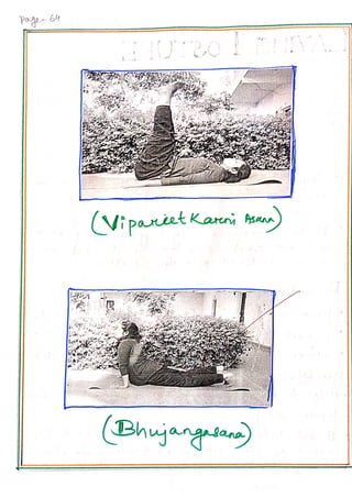 Yoga education file BEd SEM 4 sample CUH.pdf