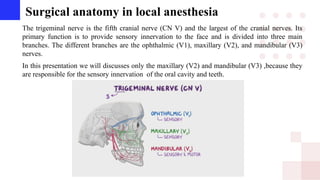Surgical anatomy in local anesthesia
The trigeminal nerve is the fifth cranial nerve (CN V) and the largest of the cranial nerves. Its
primary function is to provide sensory innervation to the face and is divided into three main
branches. The different branches are the ophthalmic (V1), maxillary (V2), and mandibular (V3)
nerves.
In this presentation we will discusses only the maxillary (V2) and mandibular (V3) ,because they
are responsible for the sensory innervation of the oral cavity and teeth.
 