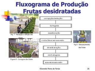 Elizonete Peres de Farias 26
Fluxograma de Produção
Frutas desidratadas
Fig. 7 - Recepção e seleção das
frutas
Figura 8 - Lavagem das frutas
Fig 9 - Descascamento
das frutas
 