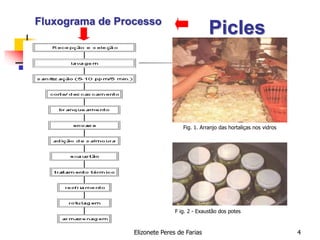 Elizonete Peres de Farias 4
Picles
Fig. 1. Arranjo das hortaliças nos vidros
F ig. 2 - Exaustão dos potes
Fluxograma de Processo
 