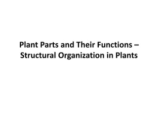 Plant Parts and Their Functions –
Structural Organization in Plants
 
