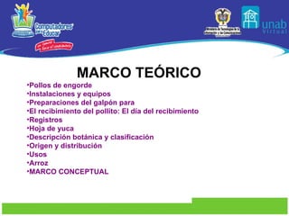 MARCO TEÓRICO Pollos de engorde Instalaciones y equipos Preparaciones del galpón para El recibimiento del pollito: El día del recibimiento Registros Hoja de yuca Descripción botánica y clasificación Origen y distribución Usos Arroz MARCO CONCEPTUAL 