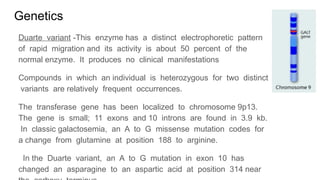 Galactosemia pathophysiology, clinical features, investigation and ...