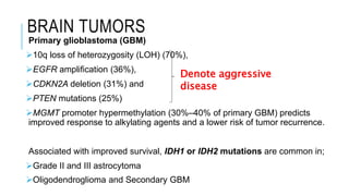 BRAIN TUMORS
Primary glioblastoma (GBM)
10q loss of heterozygosity (LOH) (70%),
EGFR amplification (36%),
CDKN2A deletion (31%) and
PTEN mutations (25%)
MGMT promoter hypermethylation (30%–40% of primary GBM) predicts
improved response to alkylating agents and a lower risk of tumor recurrence.
Associated with improved survival, IDH1 or IDH2 mutations are common in;
Grade II and III astrocytoma
Oligodendroglioma and Secondary GBM
Denote aggressive
disease
 