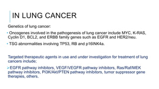IN LUNG CANCER
Genetics of lung cancer:
• Oncogenes involved in the pathogenesis of lung cancer include MYC, K-RAS,
Cyclin D1, BCL2, and ERBB family genes such as EGFR and HER2/neu.
• TSG abnormalities involving TP53, RB and p16INK4a.
Targeted therapeutic agents in use and under investigation for treatment of lung
cancers include;
EGFR pathway inhibitors, VEGF/VEGFR pathway inhibitors, Ras/Raf/MEK
pathway inhibitors, PI3K/Akt/PTEN pathway inhibitors, tumor suppressor gene
therapies, others.
 