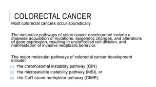 COLORECTAL CANCER
Most colorectal cancers occur sporadically.
The molecular pathways of colon cancer development include a
stepwise acquisition of mutations, epigenetic changes, and alterations
of gene expression, resulting in uncontrolled cell division, and
manifestation of invasive neoplastic behavior.
The major molecular pathways of colorectal cancer development
include:
(1) The chromosomal instability pathway (CIN)
(2) The microsatellite instability pathway (MSI), or
(3) The CpG island methylator pathway (CIMP).
 