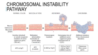 CHROMOSOMAL INSTABILITY
PATHWAY
 