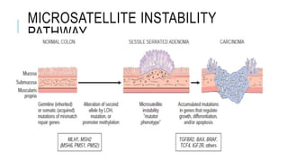 MICROSATELLITE INSTABILITY
PATHWAY
 