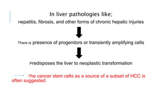 In liver pathologies like;
Hepatitis, fibrosis, and other forms of chronic hepatic injuries
There is presence of progenitors or transiently amplifying cells
Predisposes the liver to neoplastic transformation
The cancer stem cells as a source of a subset of HCC is
often suggested.
 