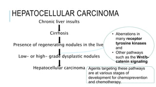 HEPATOCELLULAR CARCINOMA
Chronic liver insults
Cirrhosis
Presence of regenerating nodules in the liver
Low- or high- grade dysplastic nodules
Hepatocellular carcinoma
• Aberrations in
many receptor
tyrosine kinases
and
• Other pathways
such as the Wnt/b-
catenin signaling
Agents targeting these pathways
are at various stages of
development for chemoprevention
and chemotherapy.
 